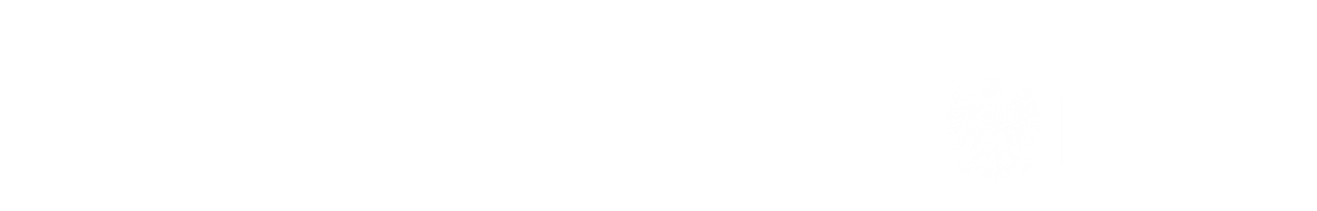 Partnerzy programu
